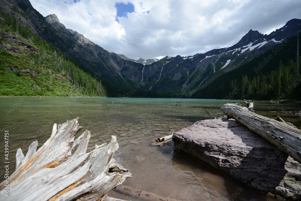 Landscape view of a lake with logs at Glacier National Park in Montana