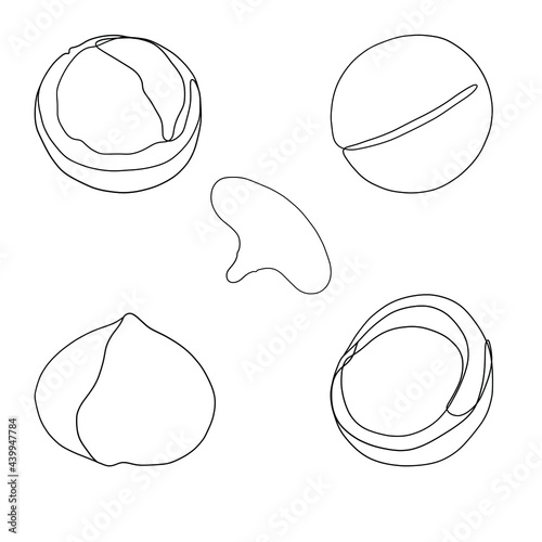 One line hand draw set of cucumbers. Black line, vector illustration isolated on white background. 