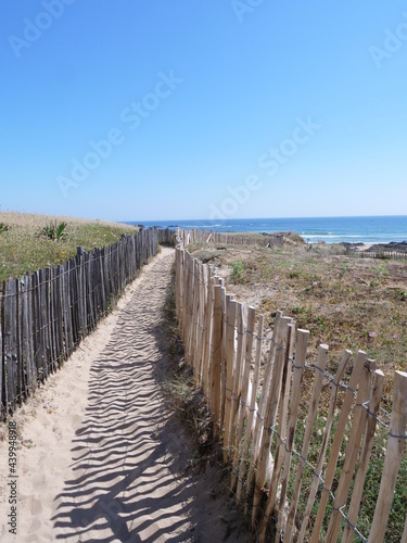 A small path on the Atlantic coast. Batz-sur-mer, France, 15th june 2021.