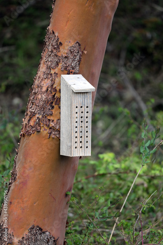 Outdoor rustic white hanging house for bees attached to a brown tree