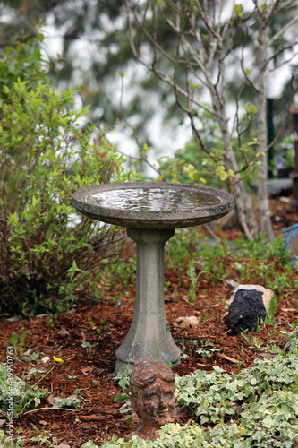 Decorative stone bird bath with water in a shade garden