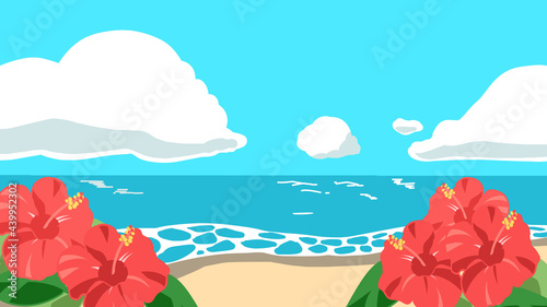 海　ハイビスカス