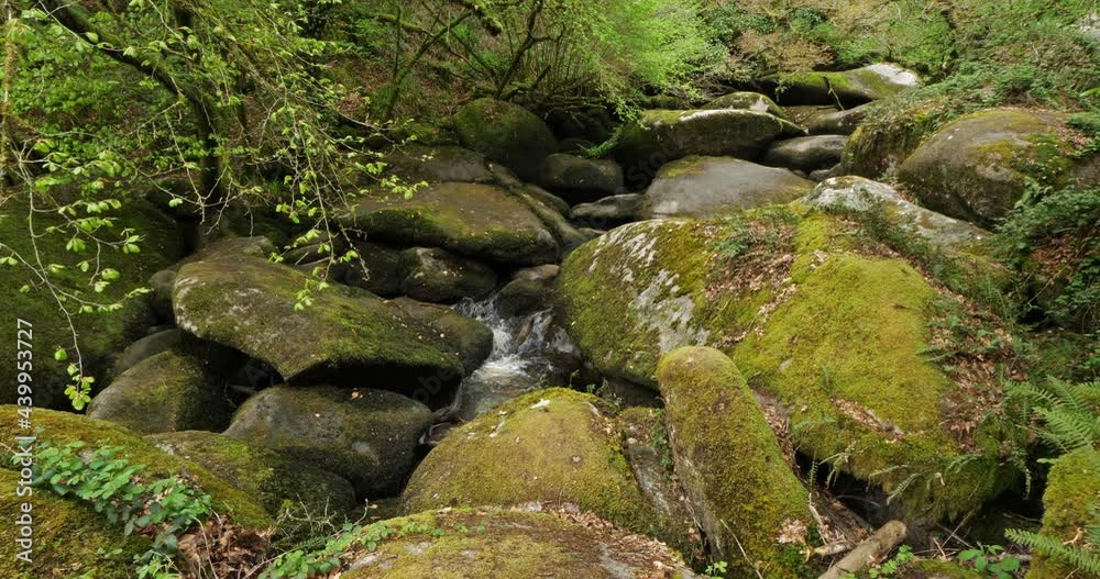 The Toul Goulic gorge, Cotes d Armor department, Brittany in France The Toul Goulic gorge, Cotes d Armor department, Brittany in France