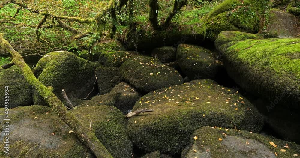 The Toul Goulic gorge, Cotes d Armor department, Brittany in France