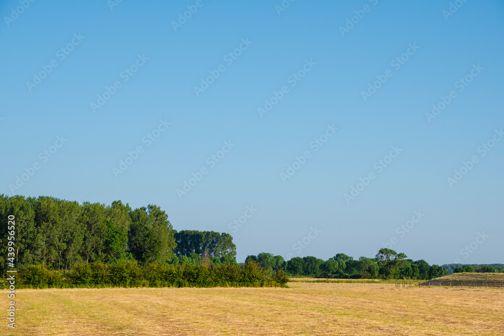 Freshly mowed grass on the farmland in the Noord Limburg region, Maasduinen, The Netherlands