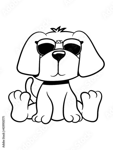 Hund jung welpe 