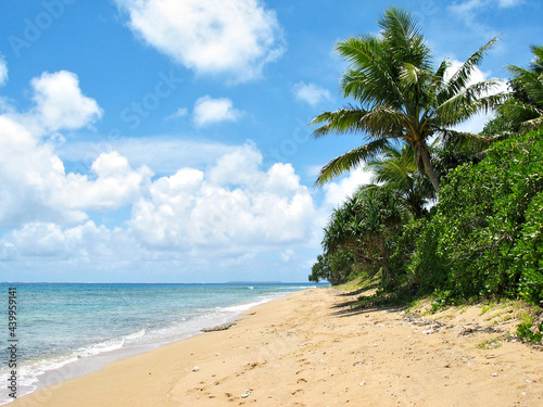 Fototapeta Naklejka Na Ścianę i Meble -  Beach in Paradise, Ha'afeva, Tonga.