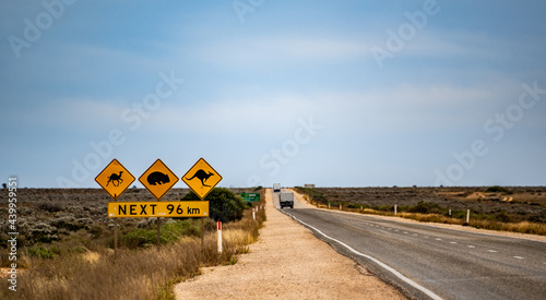 Crossing notice for camels, wombats and kangaroos on Eyre Highway on the Far West Coast of South Australia near the Nullarbor roadhouse