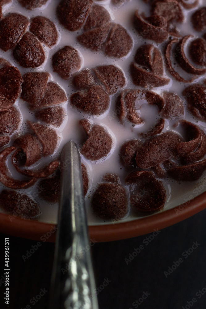 Many pieces of chocolate in this bowl Many pieces of chocolate in this bowl