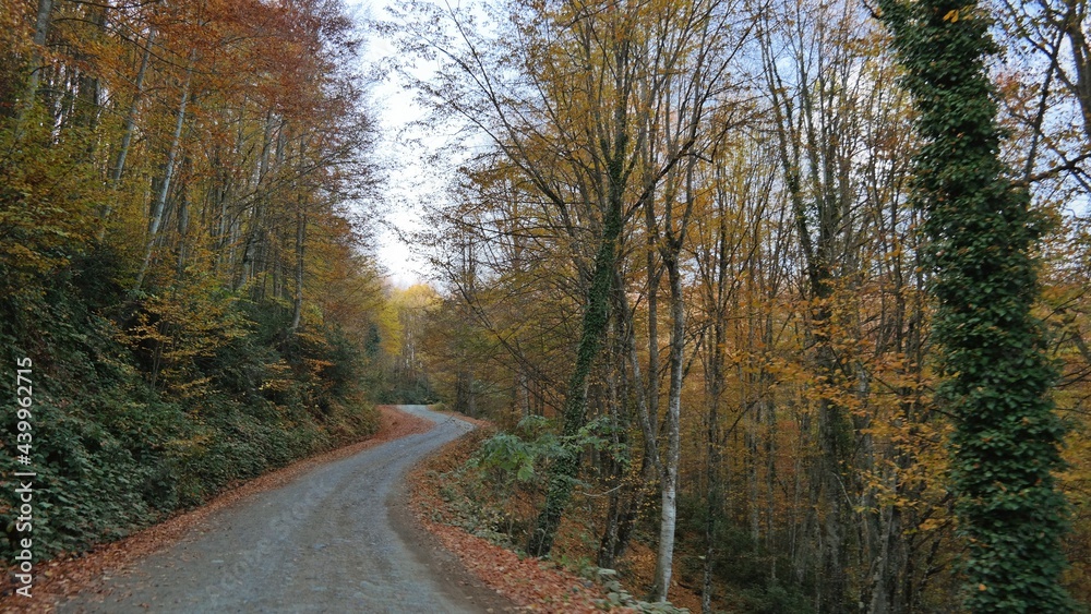 Fototapeta premium SAMSUNG CSC