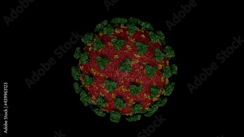 Coronavirus or covid-19 in microscopic view of floating influenza virus cells as dangerous flu strain cases as a pandemic medical health risk isolated on black background. 3D rendering.