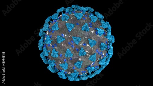 Coronavirus or covid-19 in microscopic view of floating influenza virus cells as dangerous flu strain cases as a pandemic medical health risk isolated on black background. 3D rendering. photo