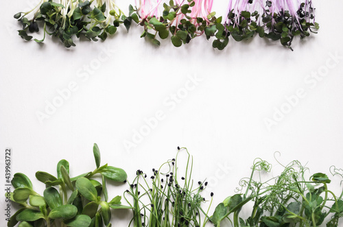 Assortment of micro greens sprouts. Mixed sprouts sunflower, onion, radishes, mustard, arugula, pea on white background, copy space.Healthy eating concept. Top view.