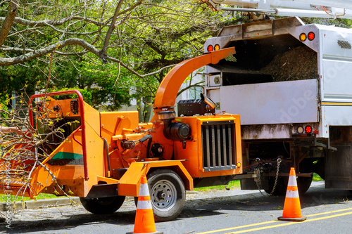 Wood chipper loaded cut green tree branches in urban neighborhood. photo