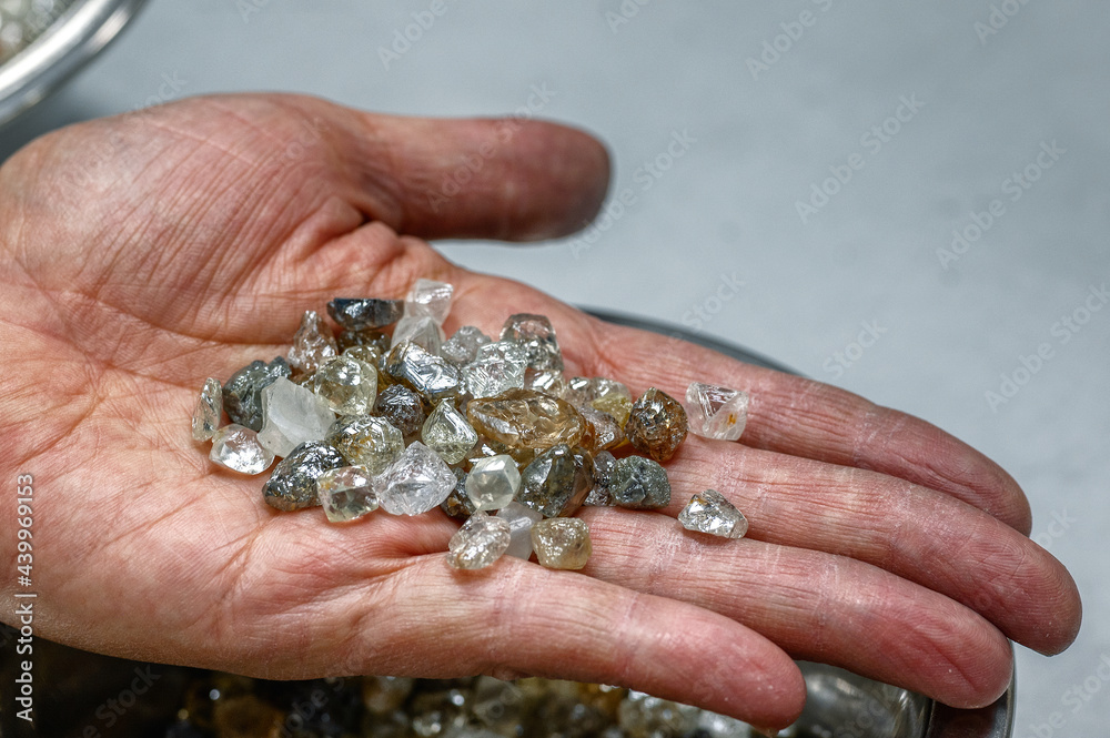 A handful of untreated rough diamonds lie in the palm of your hand. Many small gems