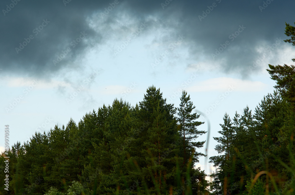 Summer landscape with forest and clouds. Summer landscape with forest and clouds.
