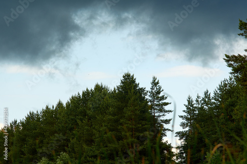 Summer landscape with forest and clouds.