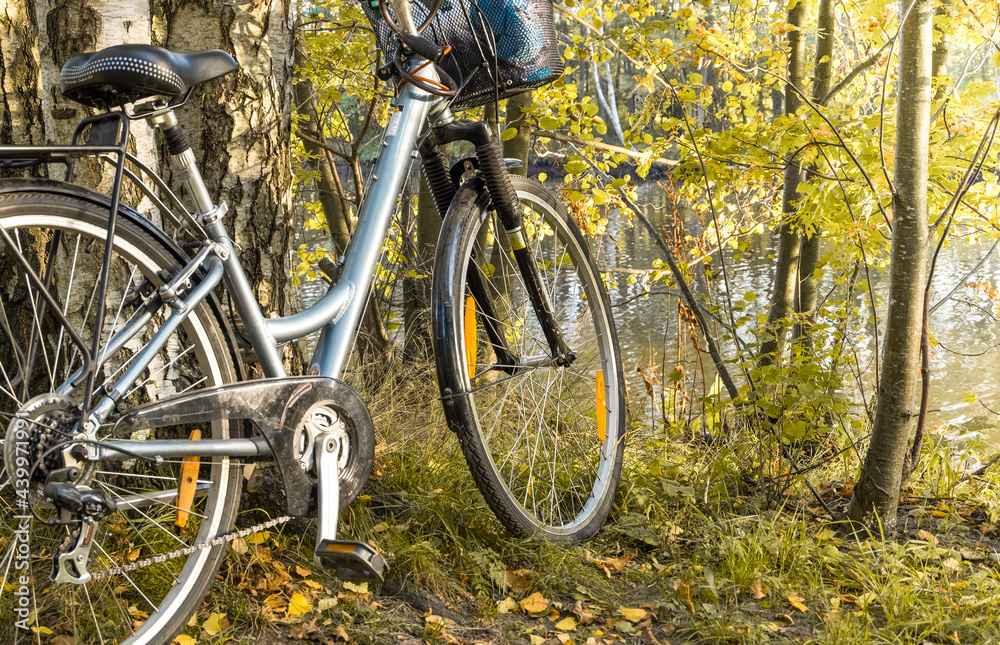 A walking bike stands near a tree in a park in early autumn afternoon. A walking bike stands near a tree in a park in early autumn afternoon.