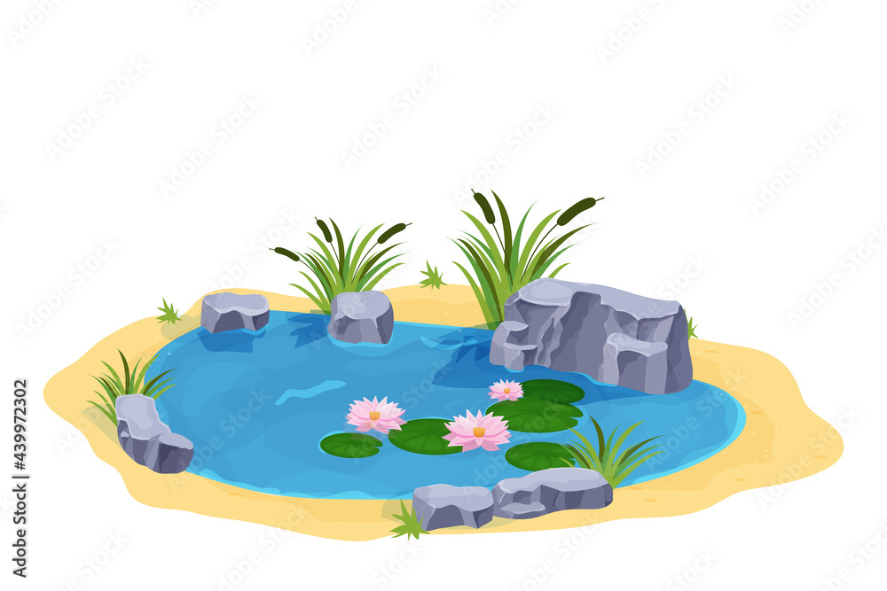 Lake with calm water, lily flowers, bulrush and stones in cartoon style isolated on white background. Outdoor natural pond. . Vector illustration Lake with calm water, lily flowers, bulrush and stones in cartoon style isolated on white background. Outdoor natural pond. . Vector illustration
