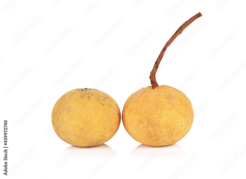 Santol fruit isolated on white background . Santol fruit isolated on white background .