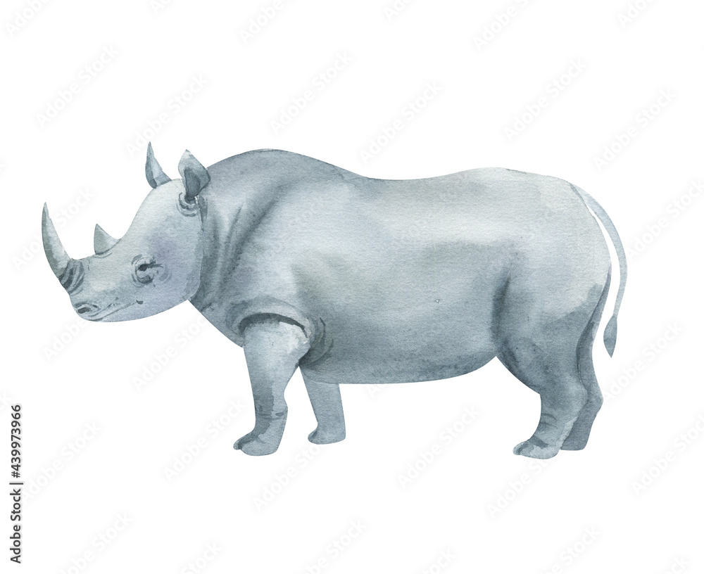 Obraz premium Watercolor grey rhinoceros isolated on white background. Hand drawn realistic illustration