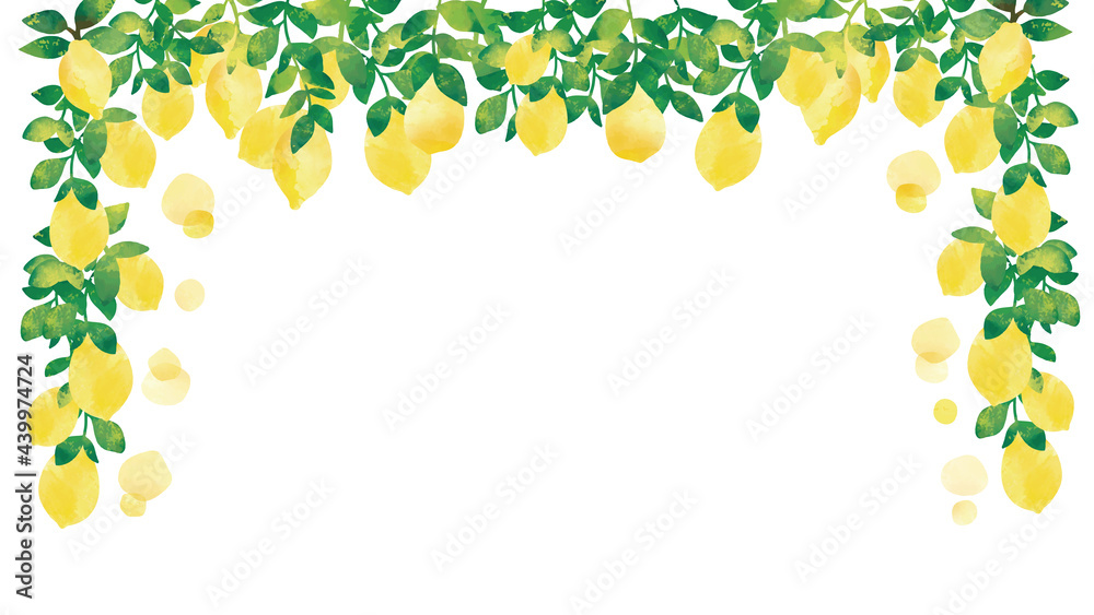水彩風　葉付きフレッシュ檸檬　フレーム