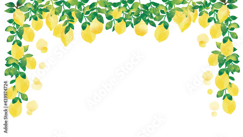水彩風　葉付きフレッシュ檸檬　フレーム