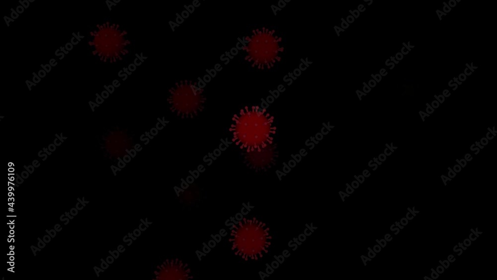 Closeup COVID-19 Coronavirus floating viral particle animation with black background Closeup COVID-19 Coronavirus floating viral particle animation with black background