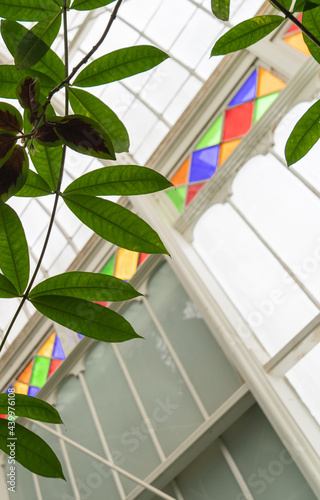 Photography Stained Glass In The Conservatory