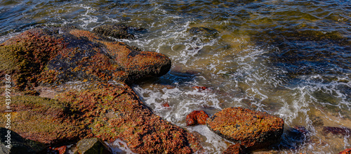 Image of rock formations (stones), with texture and sharpness, on the beach during the day photo