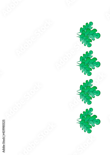 Frames of green oak leaves on a white sheet of A4 format, pastiche, graphics on the theme of the plant. Designing notebook covers, mobile apps, websites, design elements