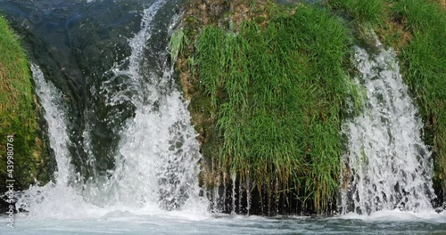 Wallpaper Mural Lunaret Nature reserve, Montpellier, Hérault department, Occitanie, France. The river Lez Torontodigital.ca