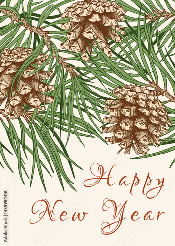 Illustration with a pine branches and cones. Colorful.