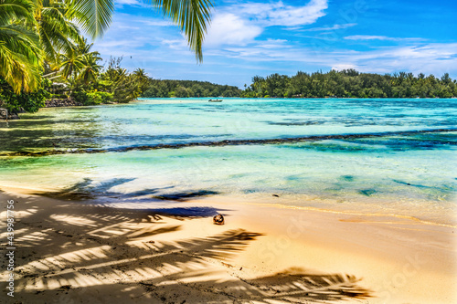 Colorful Hauru Point Beach Palm Trees Blue Water Moorea Tahiti
