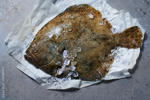 Whole turbot on paper with crushed ice photo