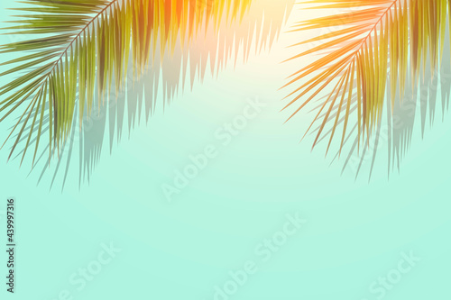 Palm leaves background. Tropical palm leaves on an empty colored background. Summer  tropics  sun  vacation concept