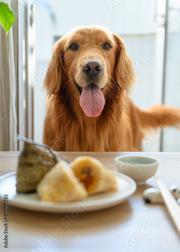 Golden Retriever and Zongzi on the table