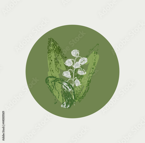 lily of the valley drawing vector illustration