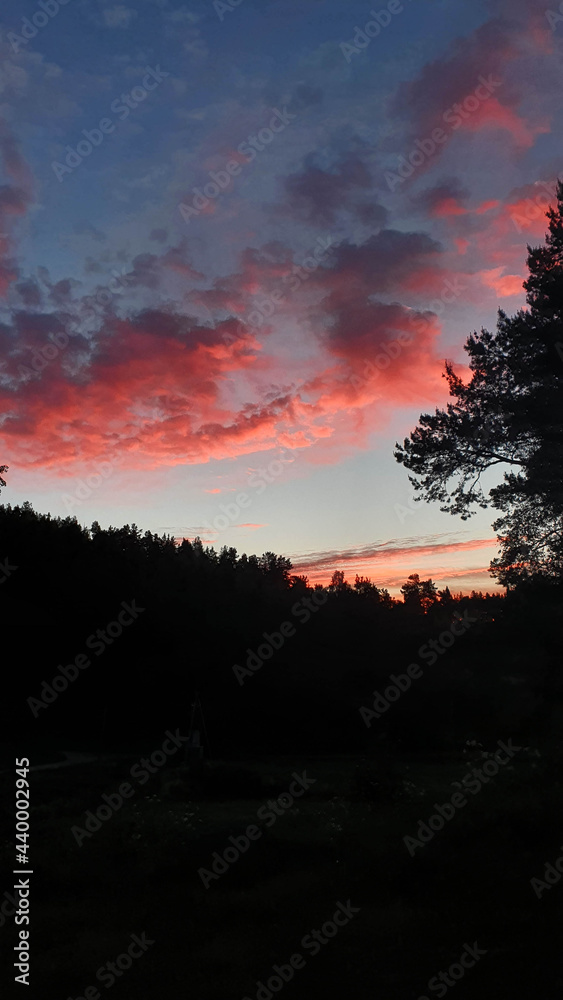 Fototapeta premium Colorful sunrise with cirrus red clouds on forest lake in Karelia, Russia. Natural landscape, vertical photo. High quality photo