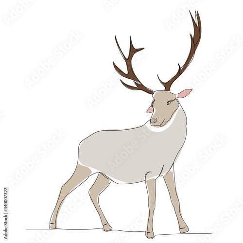 red deer one continuous line drawing, isolated