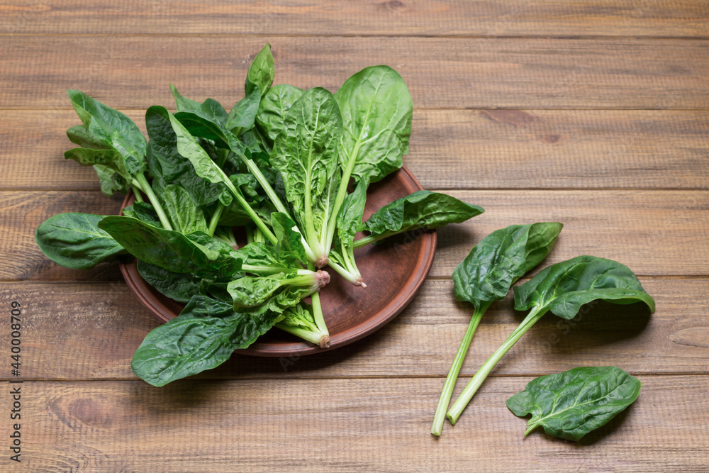 Fototapeta premium Spinach leaves on ceramic plate