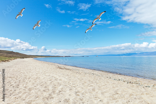 Beautiful summer landscape of sandy beach Baikal Lake. View from Olkhon Island to the Small Sea on sunny day and seagull birds in blue sky. Natural background. Summer travel and recreation concept