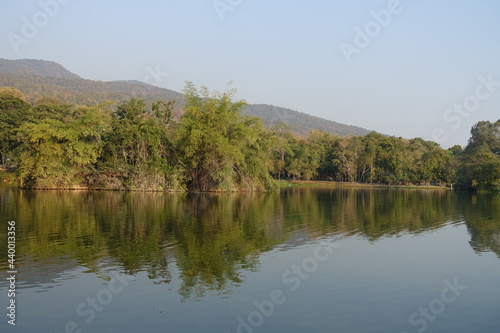 Lake among tropical nature. Green trees, calm water surface