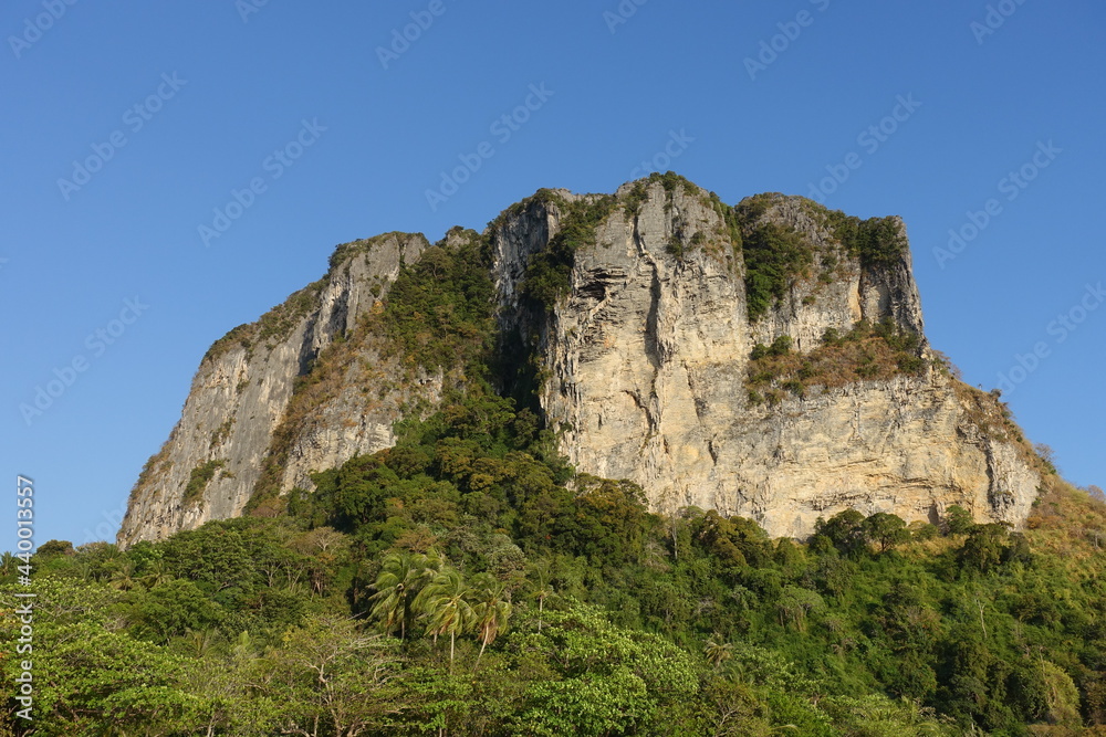 Mountain in the middle of the rainforest. Tropical nature