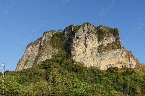 Mountain in the middle of the rainforest. Tropical nature