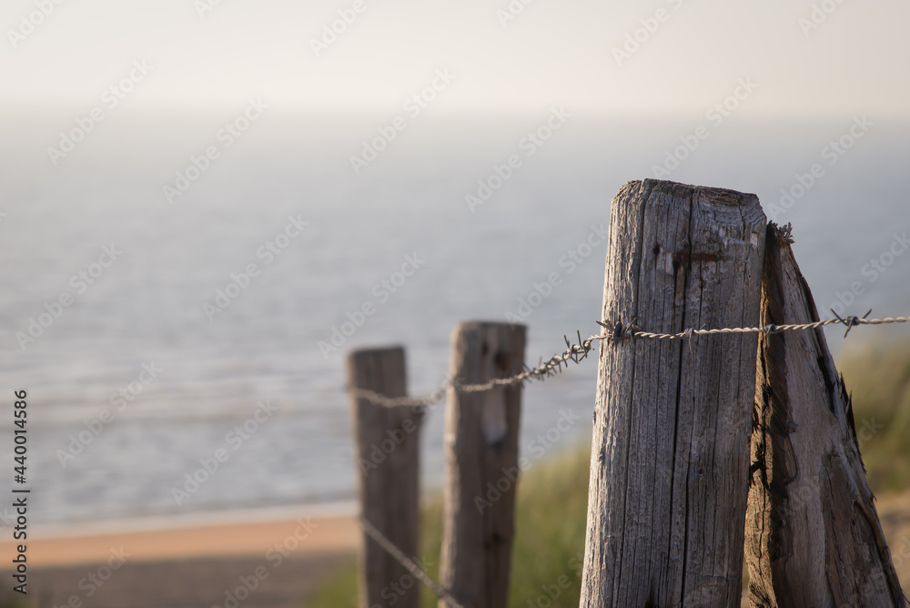 Wooden poles, barbed wire and sandy path through the dunes, Netherlands Wooden poles, barbed wire and sandy path through the dunes, Netherlands