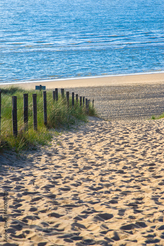 Wooden poles  barbed wire and sandy path through the dunes  Netherlands