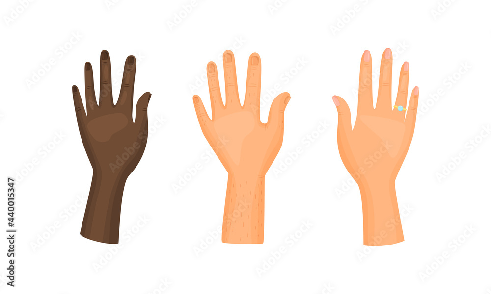 Different Human Right and Left Hands with Palm Raised Up Vector Set Different Human Right and Left Hands with Palm Raised Up Vector Set