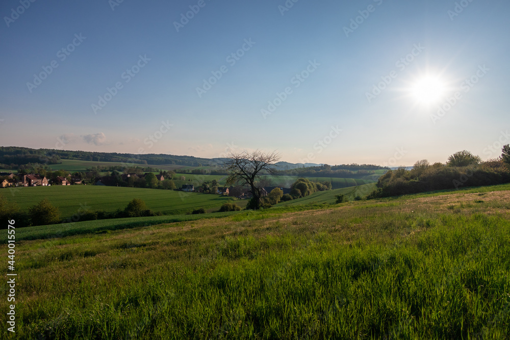 Country landscape in sunshine in Germany Country landscape in sunshine in Germany
