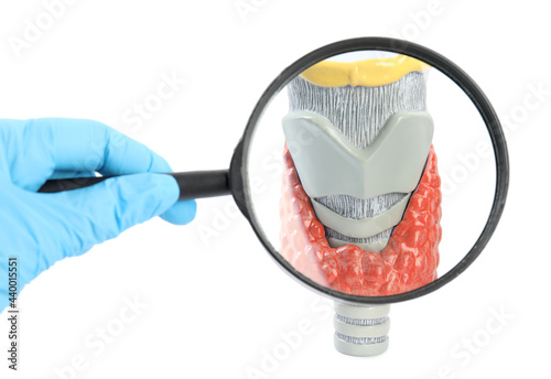 Doctor with magnifying glass looking at plastic model of afflicted thyroid on white background, closeup
